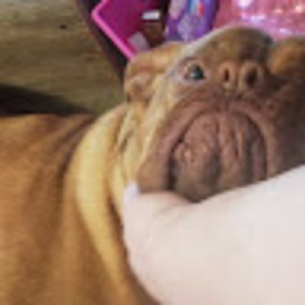 Meet your Posher, Carrie